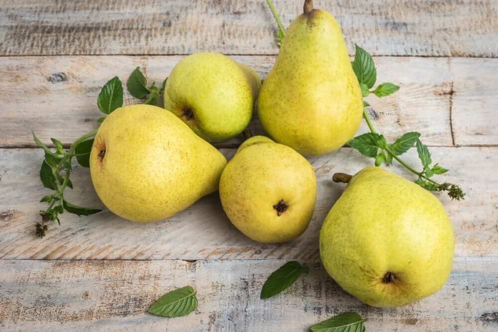 Fresh organic pears on old wood. Fruit background. Pear autumn harvest